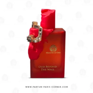 Eau de parfum Oud beyond the wall 100ml – Ministry of Oud